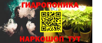 Альфа ПВП Боровичи